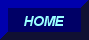 go to the home page